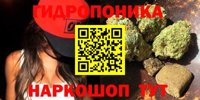 шишки Ленинск-Кузнецкий