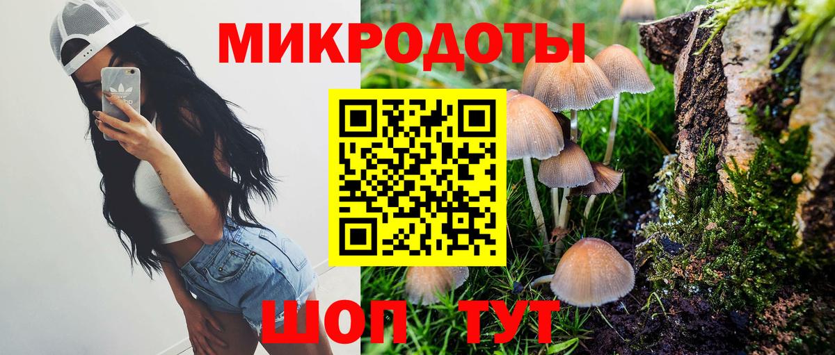 Псилоцибиновые грибы Psilocybe  Псилоцибиновые грибы Psilocybine cubensis  Дмитров  Вход с VPN 