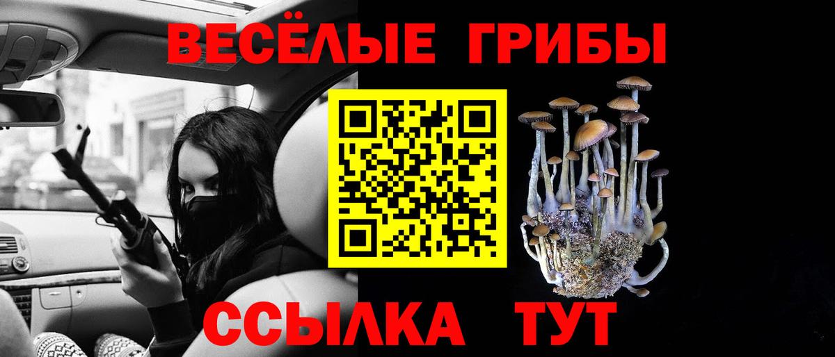 Галлюциногенные грибы Cubensis Дмитров